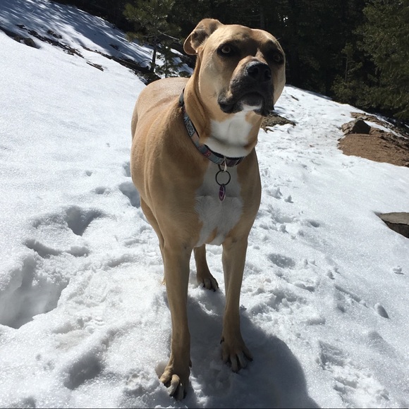 Meet your Posher, Tati - Picture 4 of 10